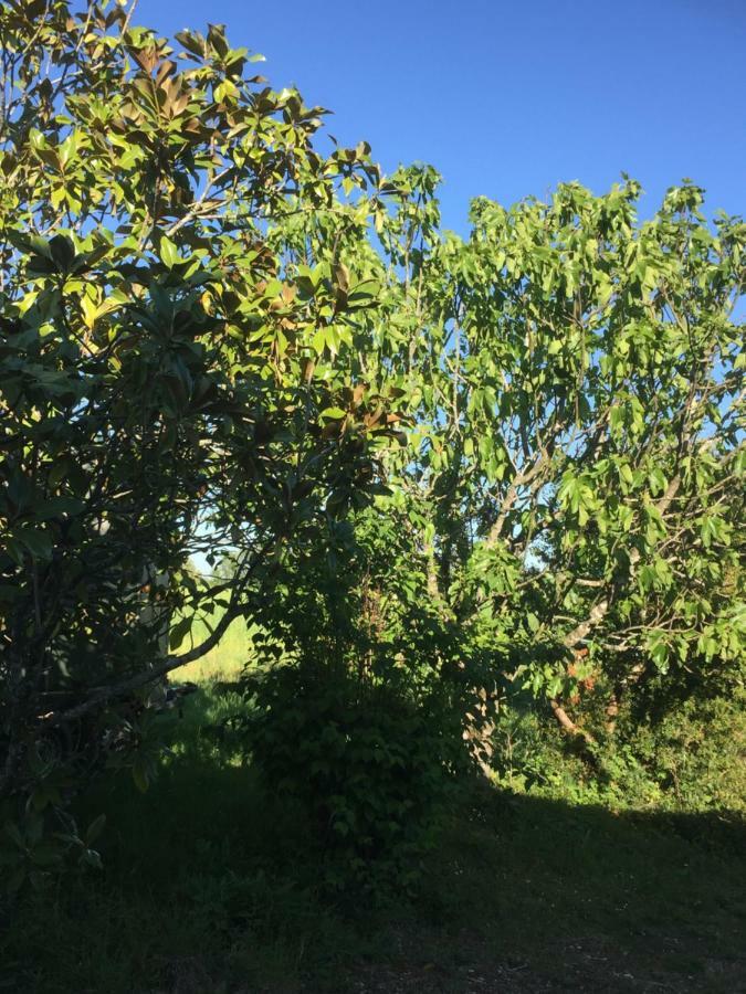 La Croix Blanche住宿加早餐旅馆 外观 照片